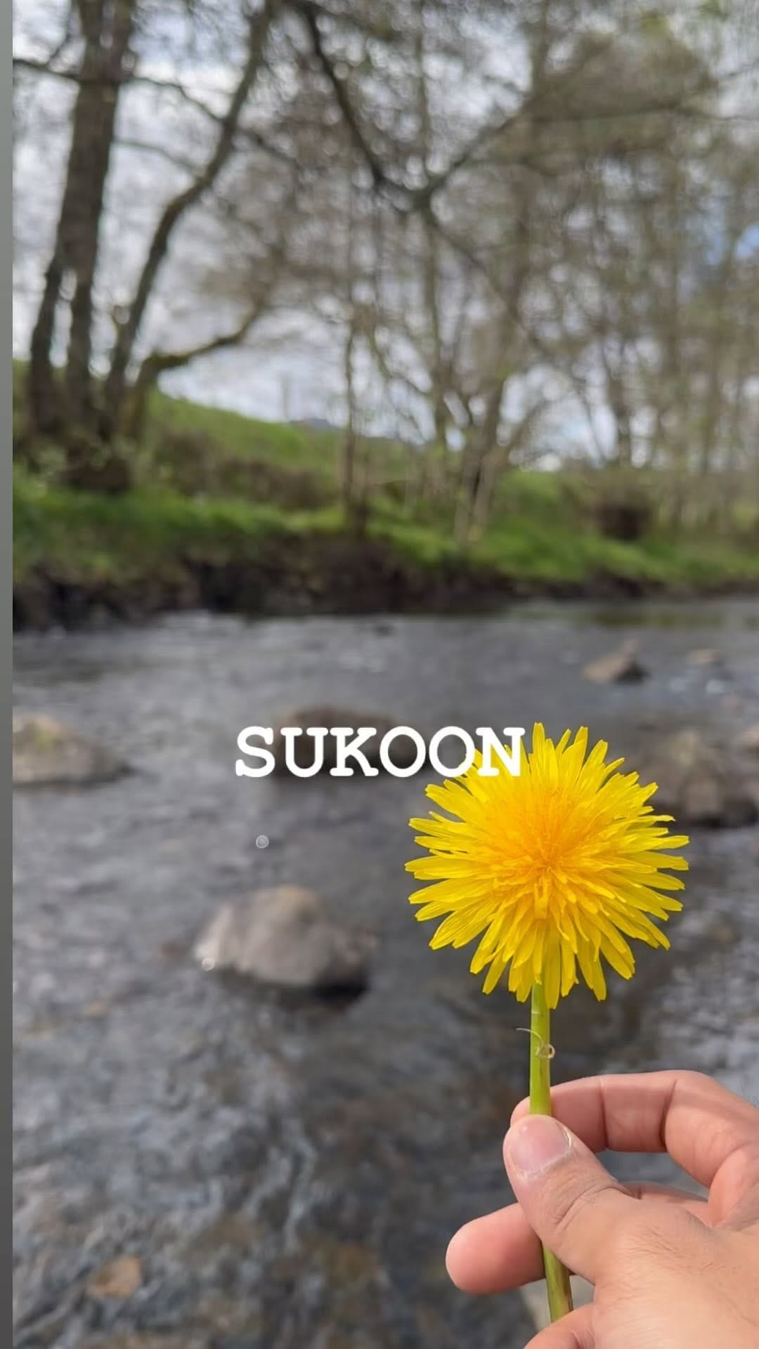 Post 4 by Anshuman Gilani |TRAVEL|FOOD| Glasgow on Instagram (video)