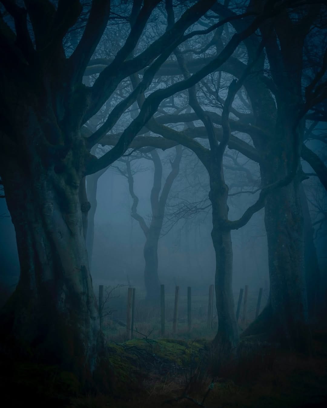 Post 1 by Paul Watt Photography on Instagram (image)
