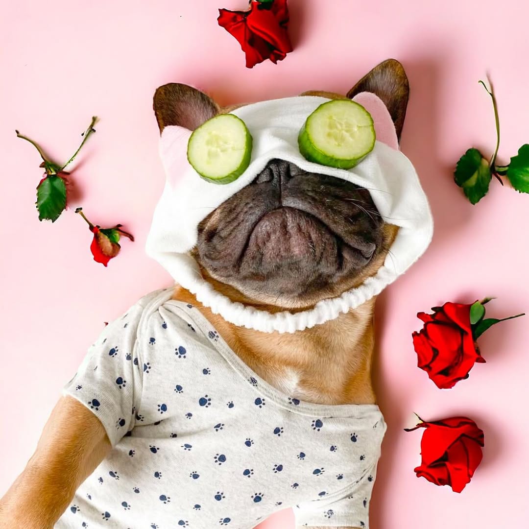 Post 7 by 𝓐𝓶𝓪𝓷𝓭𝓪 & 𝓣𝓾𝓵𝓾𝓶 🥥 on Instagram (image)