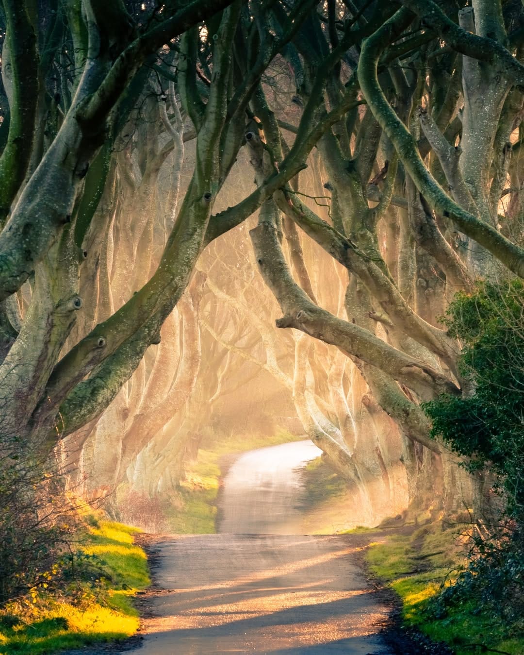 Post 5 by SAM HUNTER 🔱 Travel 🌍 on Instagram (image)