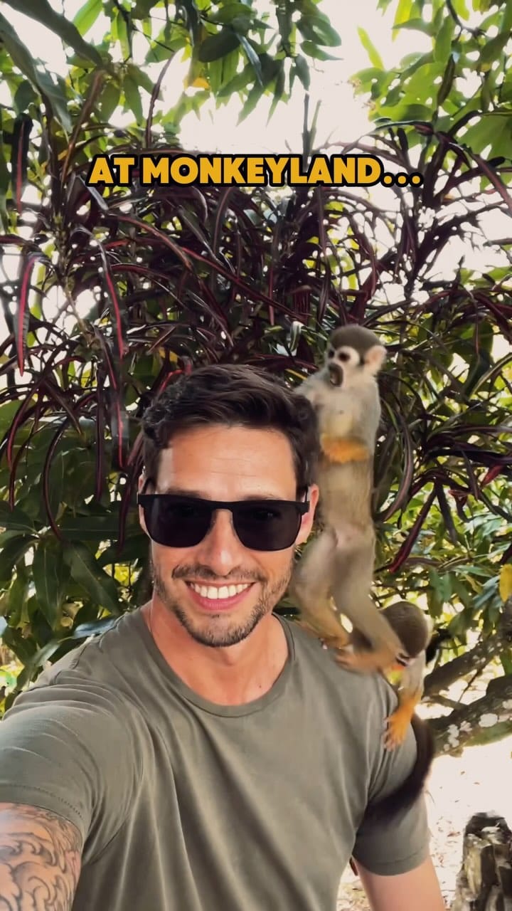 Post 2 by David Pereira on Instagram (video)