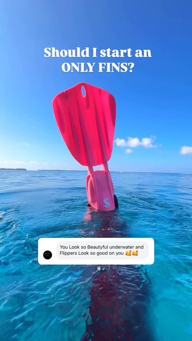 Post 5 by Michelle | Dive & Wildlife Travel Content Creator on Instagram (video)