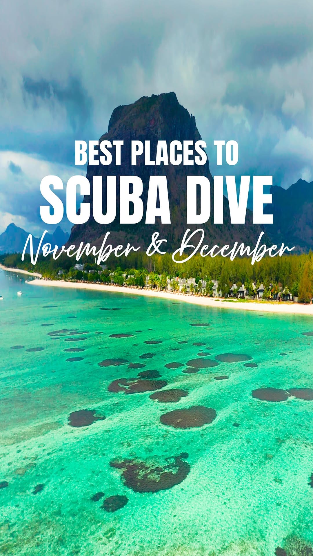 Post 6 by Michelle | Dive & Wildlife Travel Content Creator on Instagram (video)