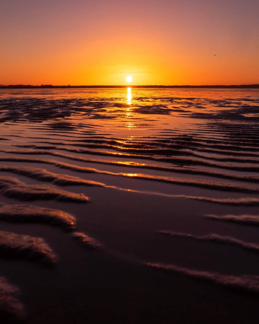 Post 7 by Chris Charles Photography on Instagram (image)