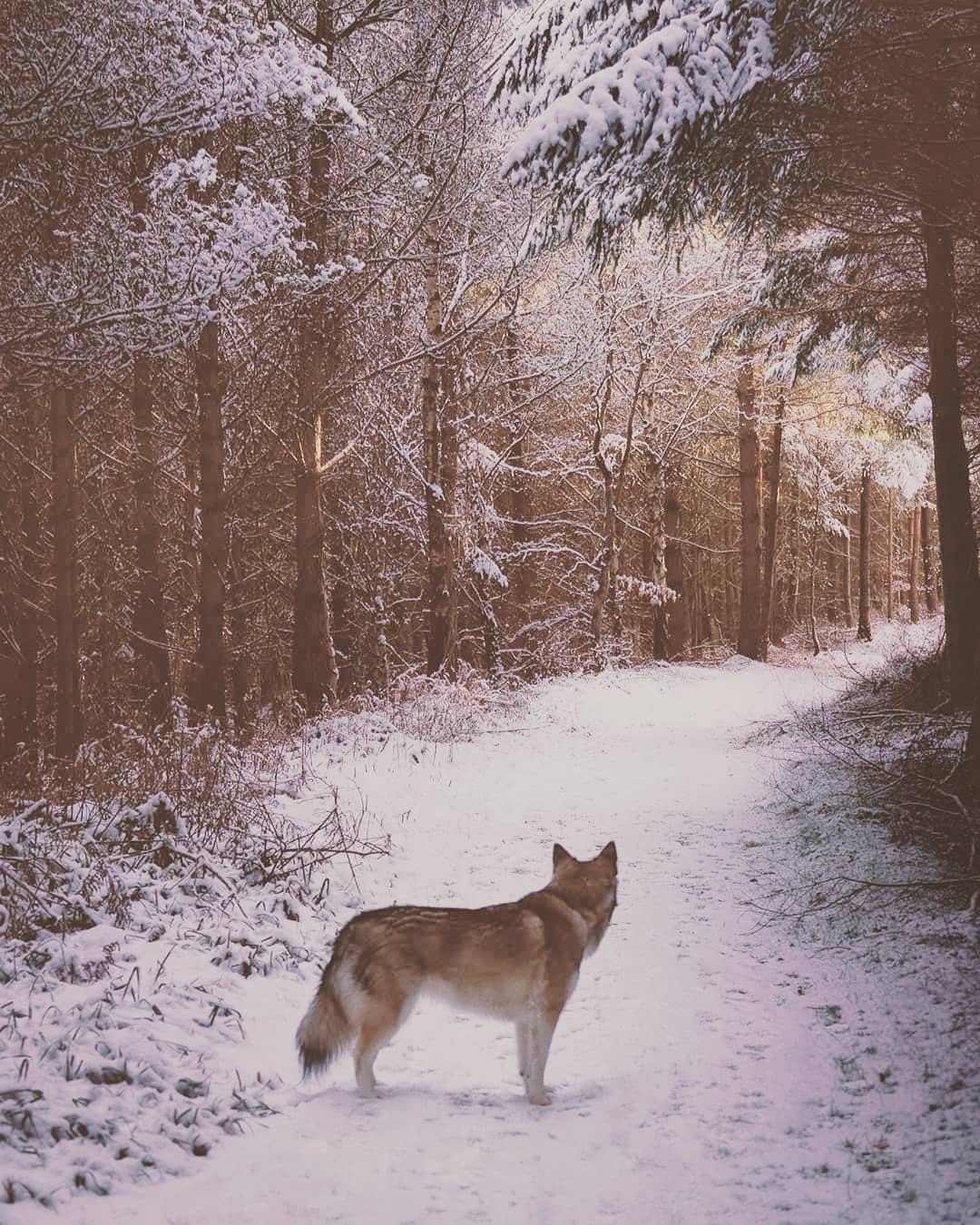Post 8 by Chris Charles Photography on Instagram (image)