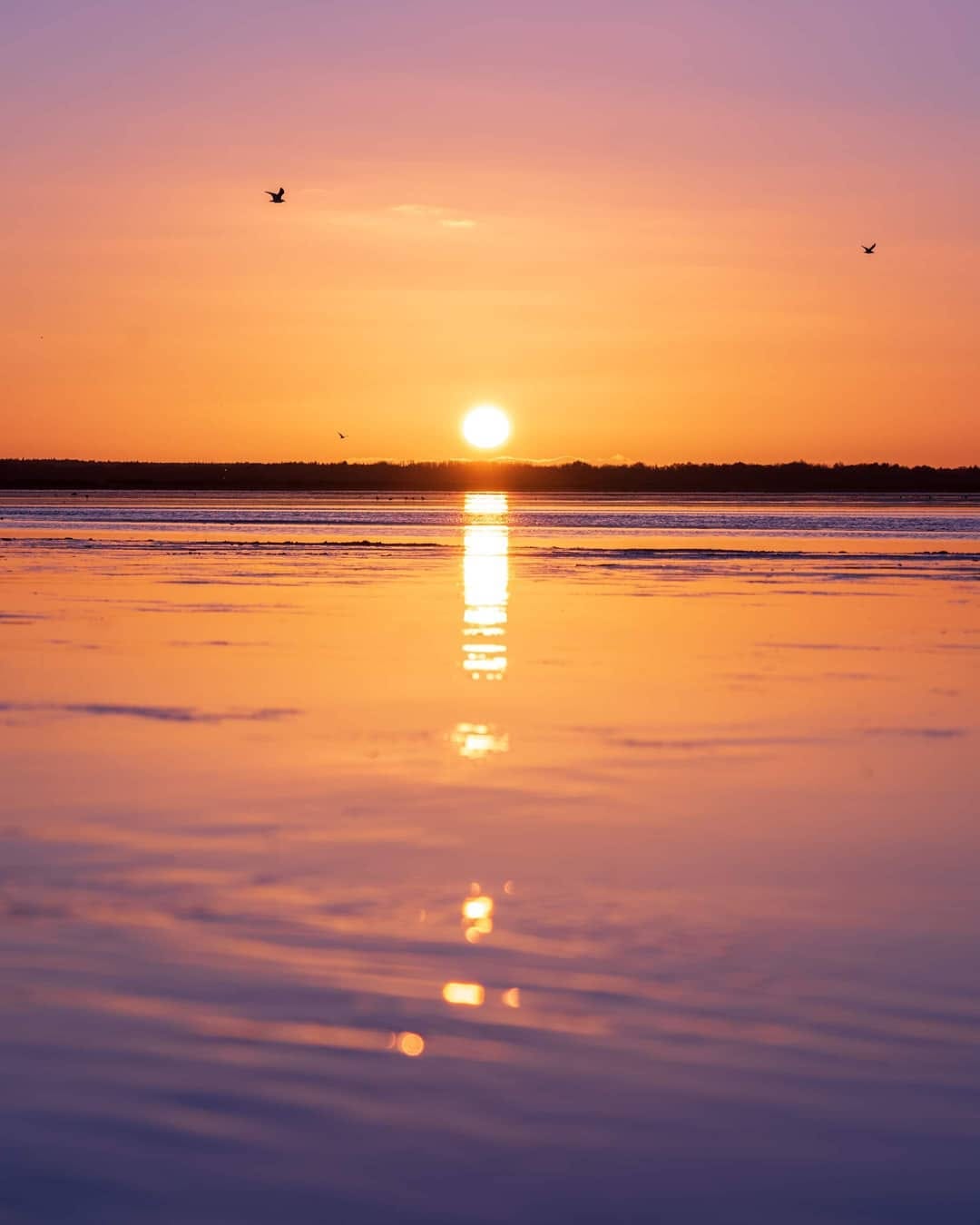 Post 6 by Chris Charles Photography on Instagram (image)