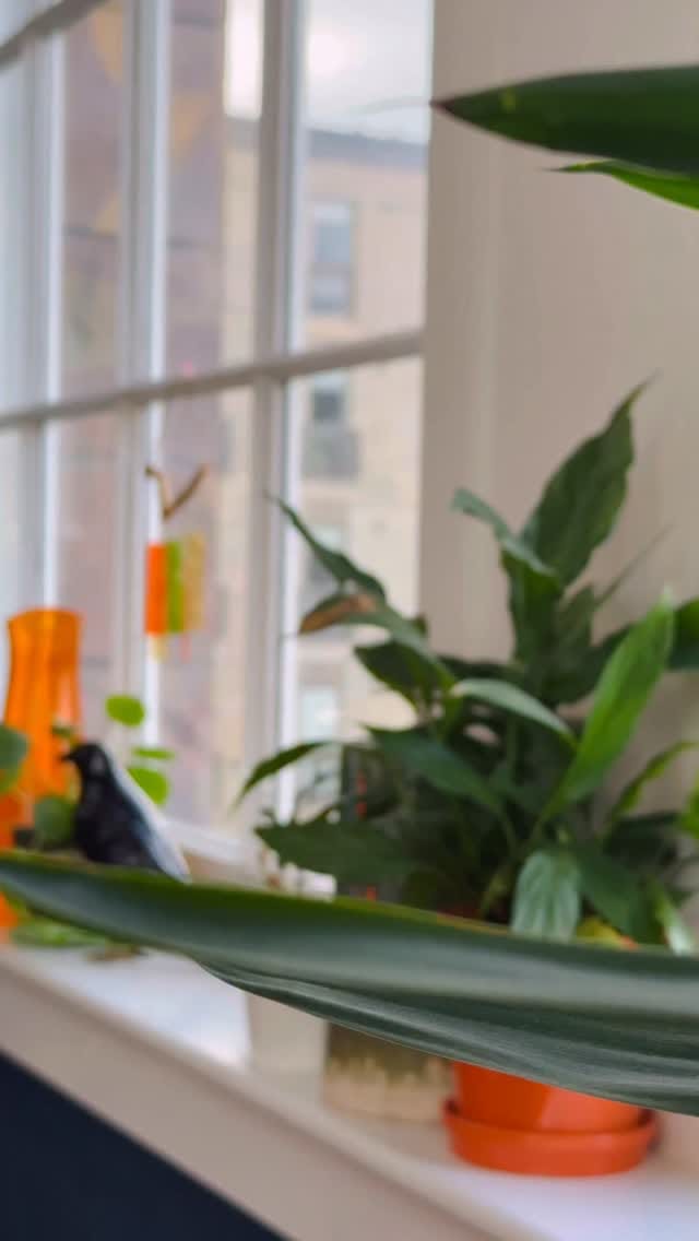 Post 2 by Rachel | Interior Styling & Travel Creator on Instagram (video)
