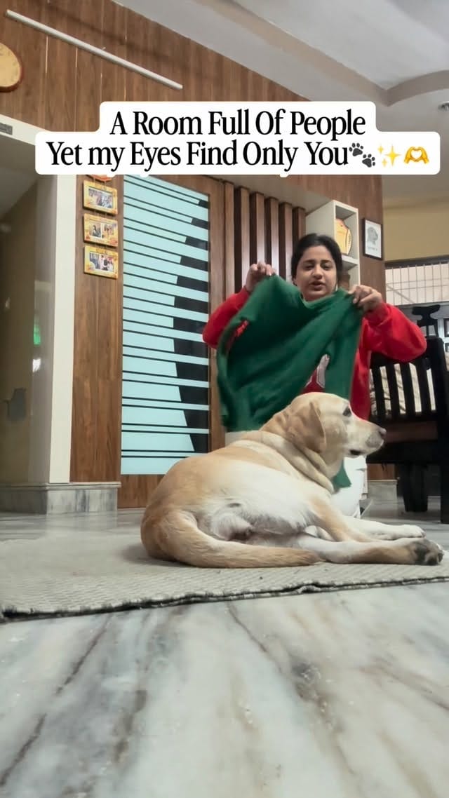 Post 10 by RUSHALI NARANG on Instagram (video)