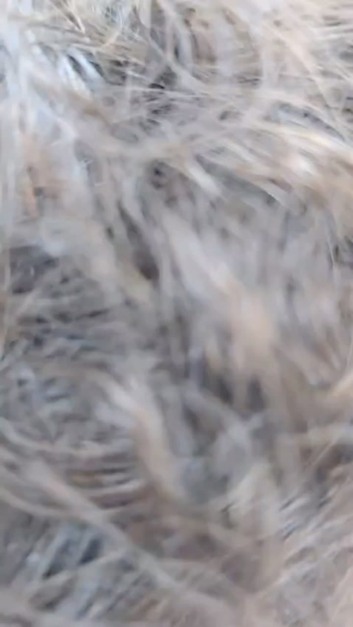 Post 2 by My Barbers on Instagram (video)