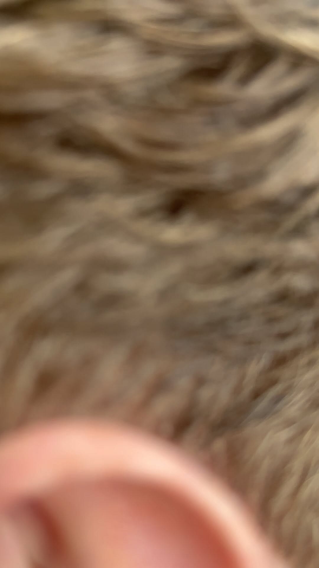 Post 7 by My Barbers on Instagram (video)