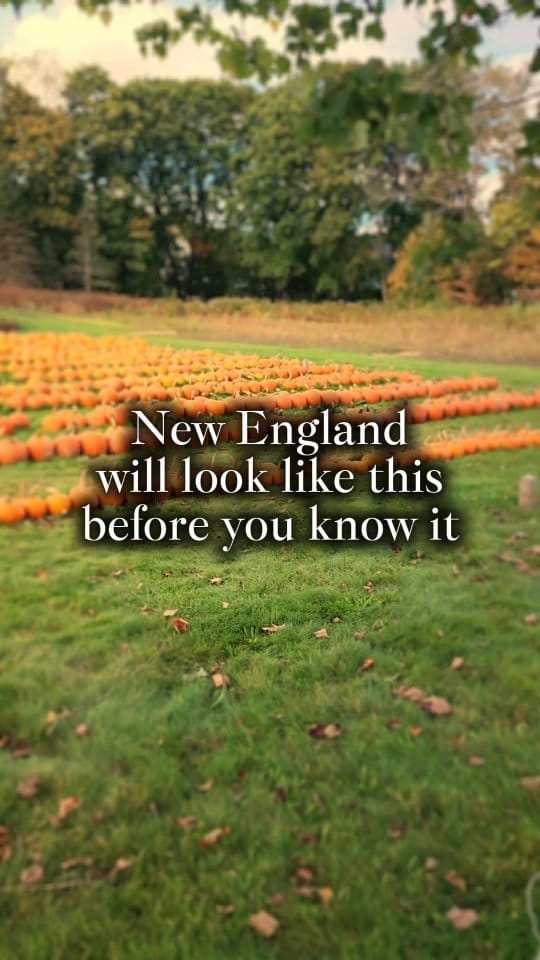 Post 1 by Amy Hartle | New England With Love on Instagram (video)