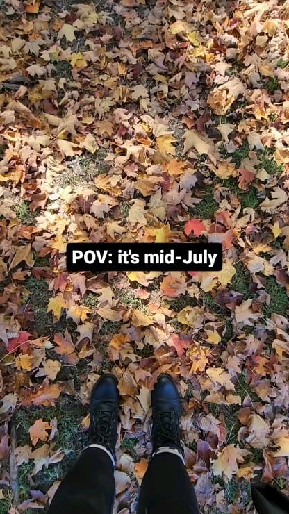 Post 3 by Amy Hartle | New England With Love on Instagram (video)