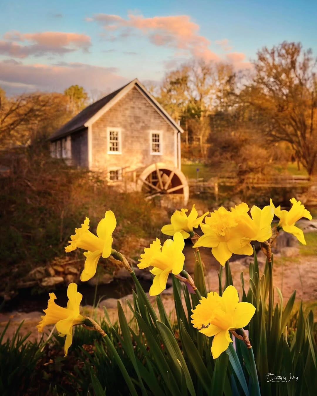 Post 6 by Amy Hartle | New England With Love on Instagram (image)