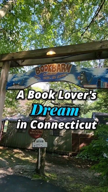 Post 5 by Amy Hartle | New England With Love on Instagram (video)