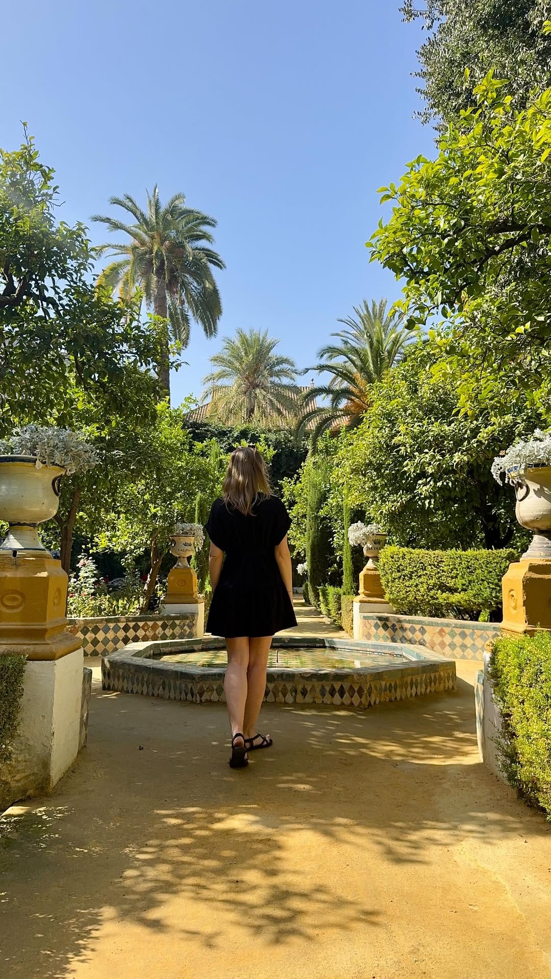 Post 4 by Ayla | Family Travel & Adventures on Instagram (video)