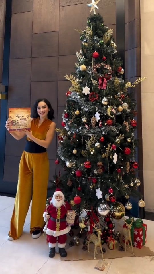 Post 4 by hande kaptan on Instagram (video)