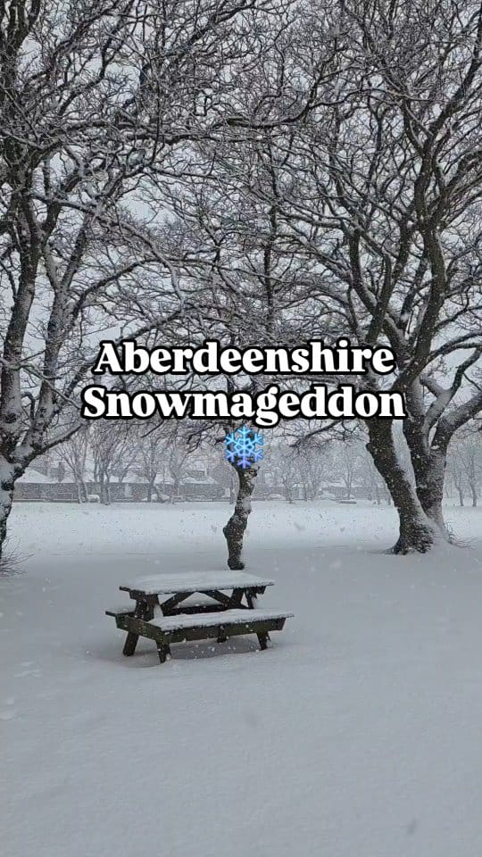 Post 5 by Christy | Adventuring Scottish Foodie on Instagram (video)