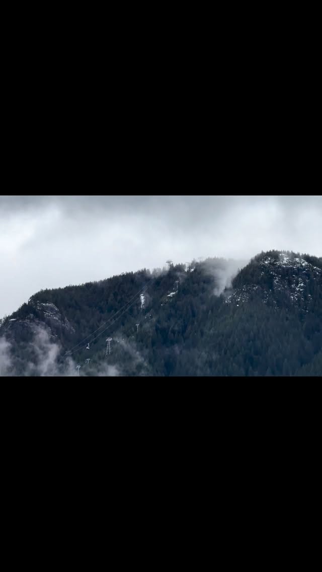 Post 10 by Chef & Co Canada (Aprons / Fashion Design) -Patricia Wong on Instagram (video)