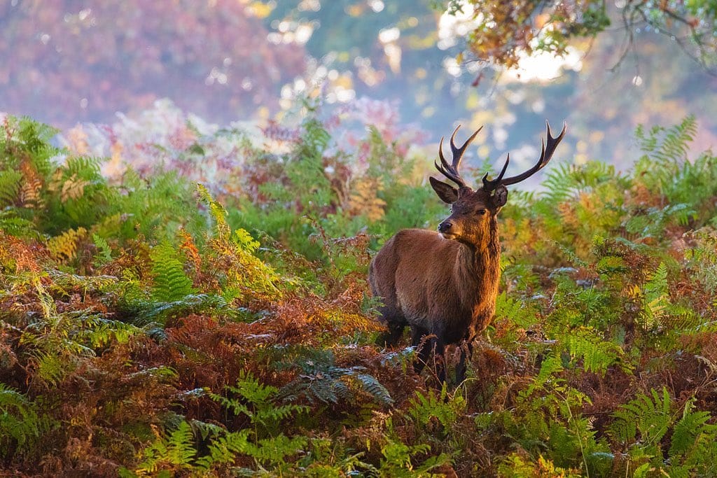 Post 10 by Ed Hasler | London | Travel & Landscape Photographer on Instagram (image)