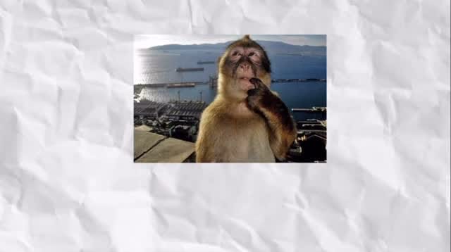 Post 7 by Etha Mohede on Instagram (video)