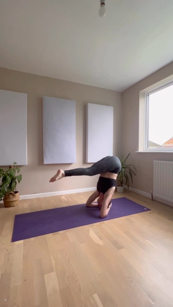 Post 4 by Mary Powell on Instagram (video)