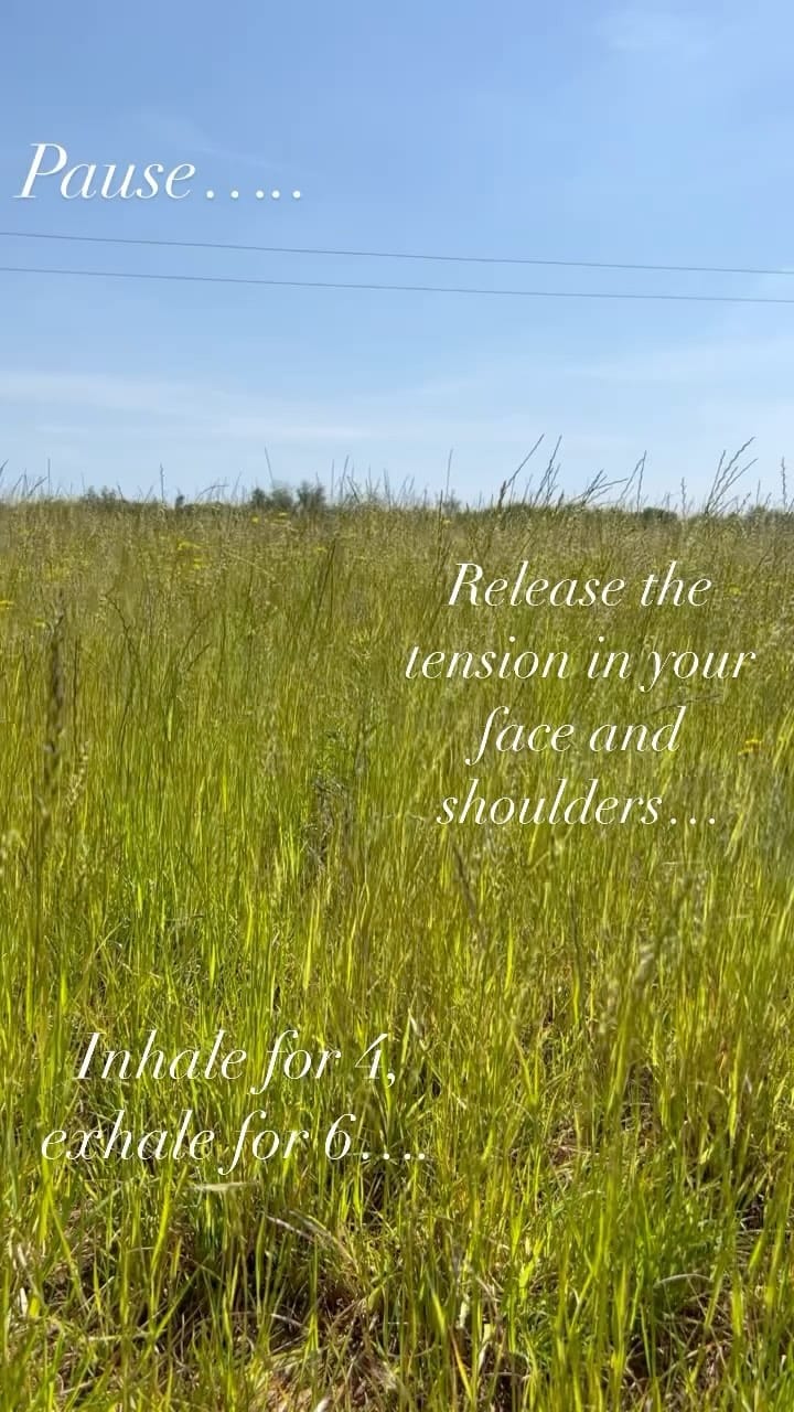 Post 3 by Mary Powell on Instagram (video)