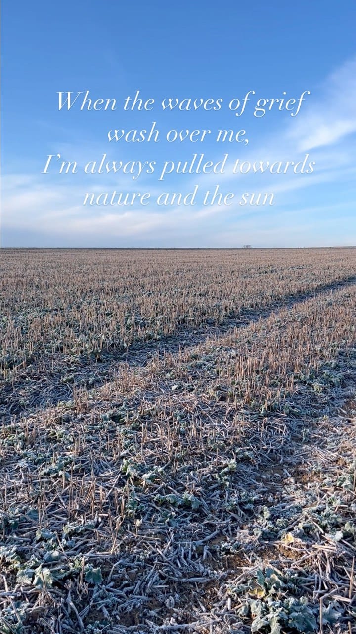 Post 5 by Mary Powell on Instagram (video)