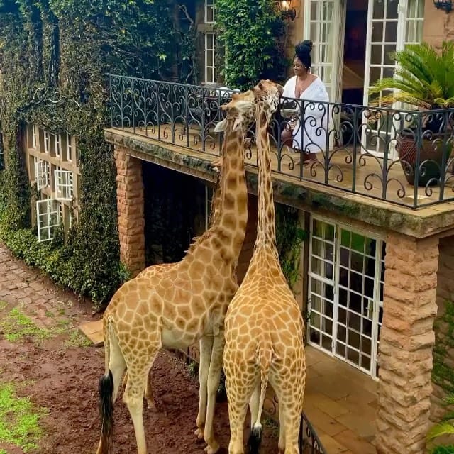 Post 8 by Hotels to Book 🛎✈️🧳 on Instagram (video)