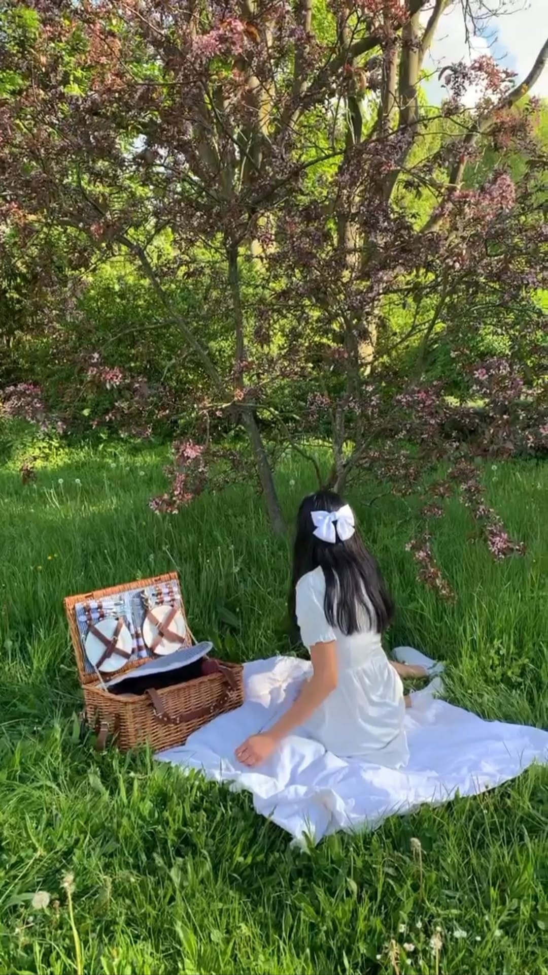 Post 4 by Hotels to Book 🛎✈️🧳 on Instagram (video)