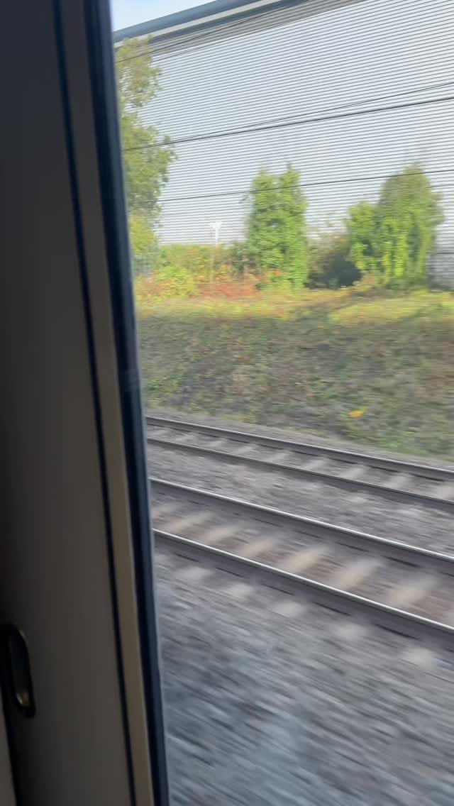 Post 3 by Saaraa Yasin on Instagram (video)