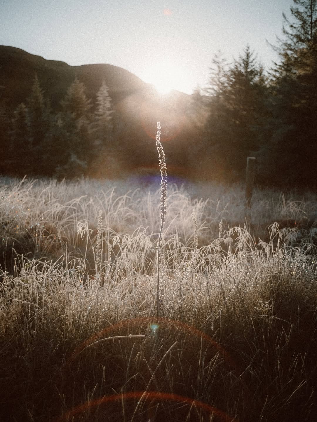 Post 8 by Simon Hird on Instagram (carousel)
