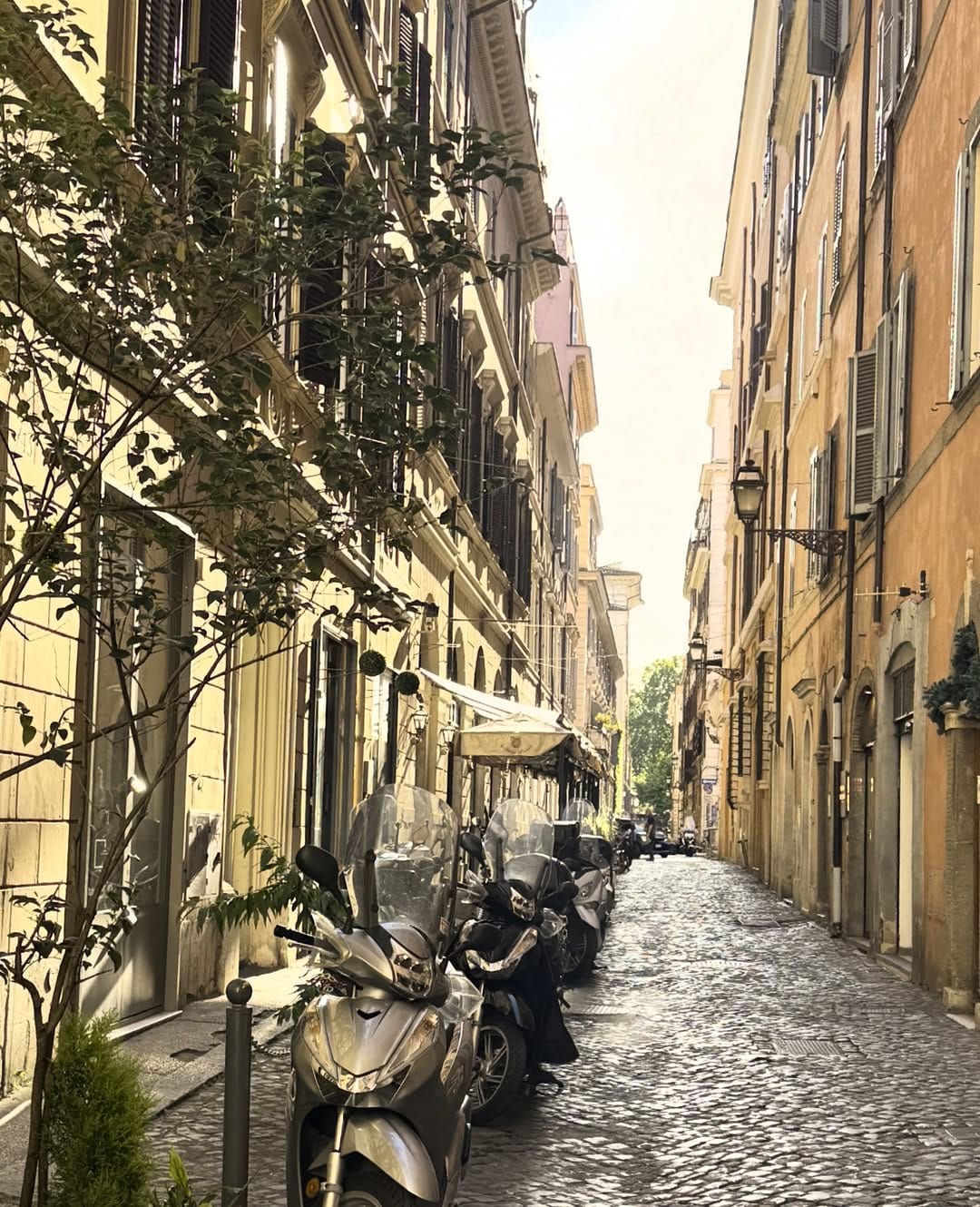 Post 4 by 🍉 ارم on Instagram (image)