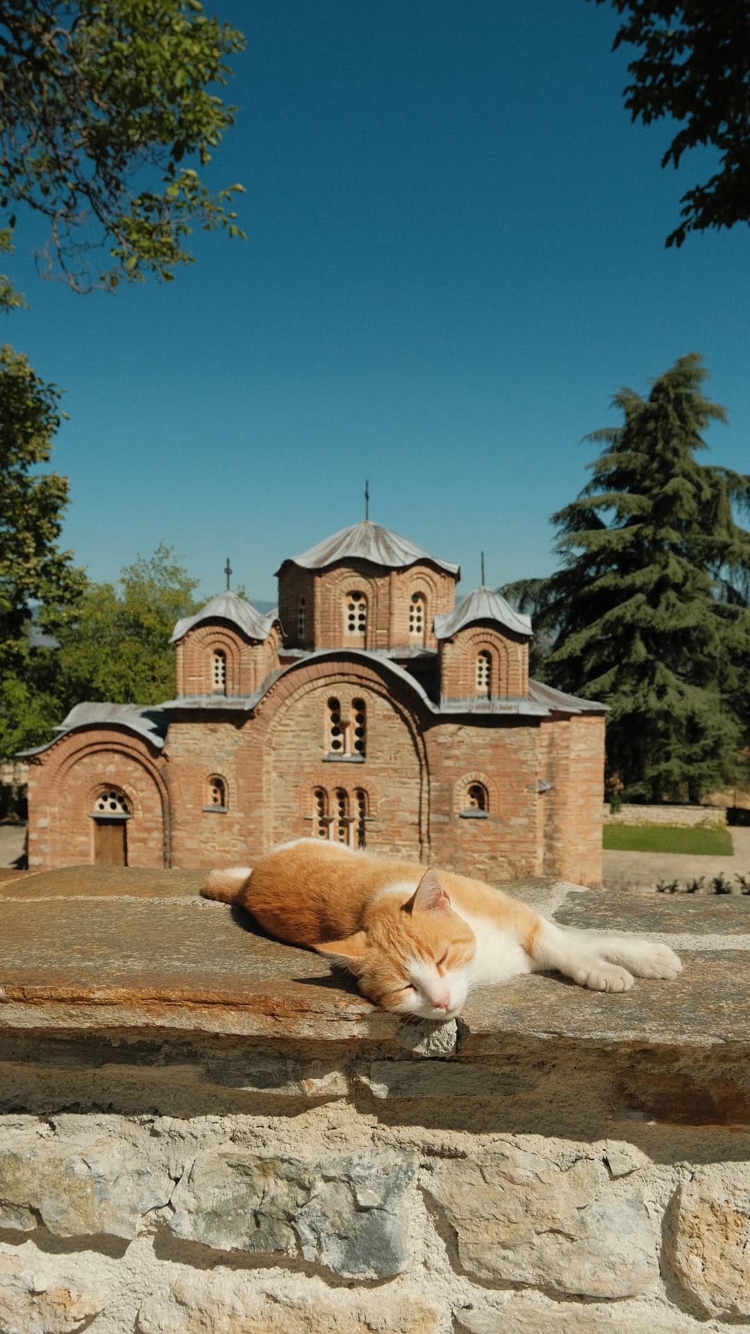 Post 2 by Mon | food & travel content creator on Instagram (video)