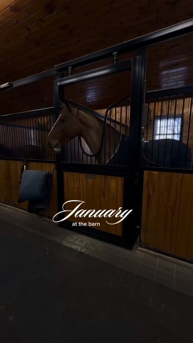 Post 1 by Alivia Croal on Instagram (video)