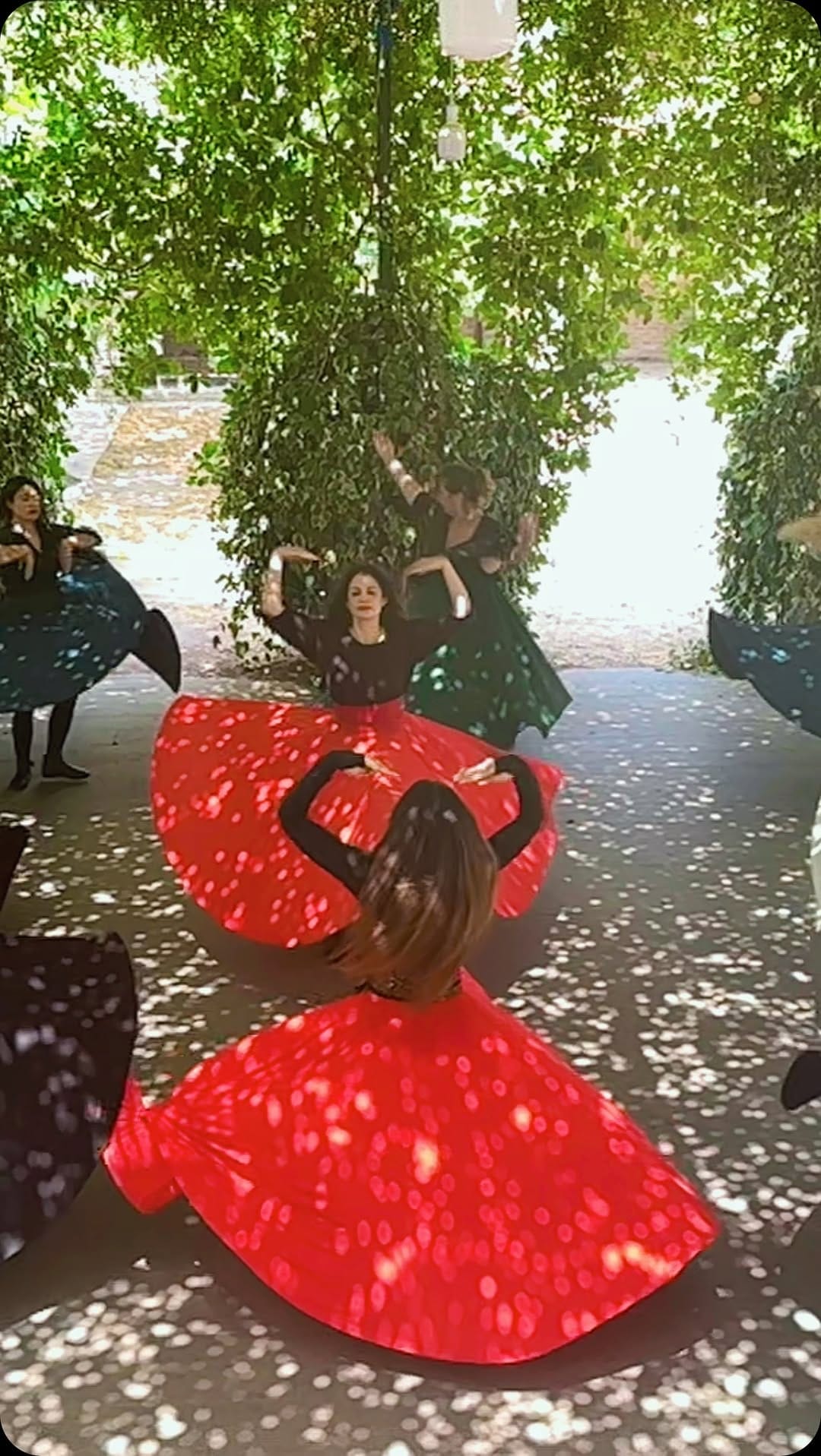 Post 5 by MZ on Instagram (video)