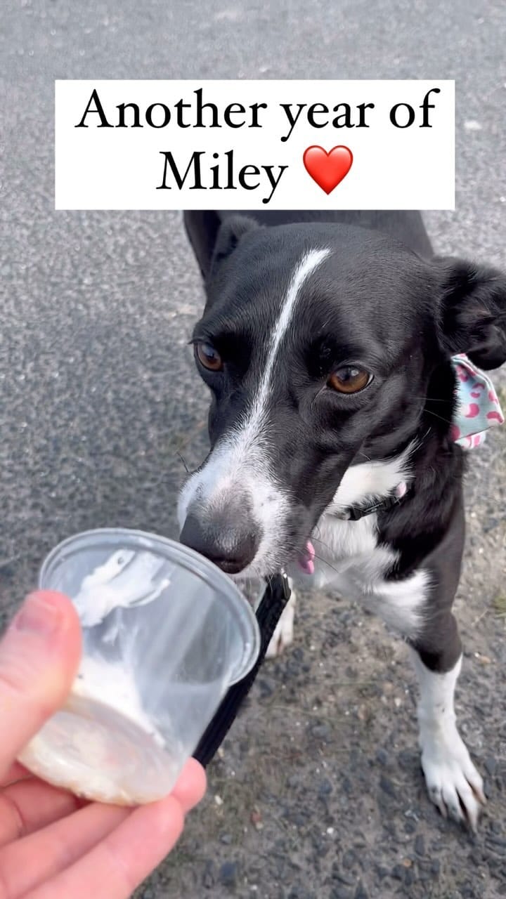 Post 4 by Georgia on Instagram (video)