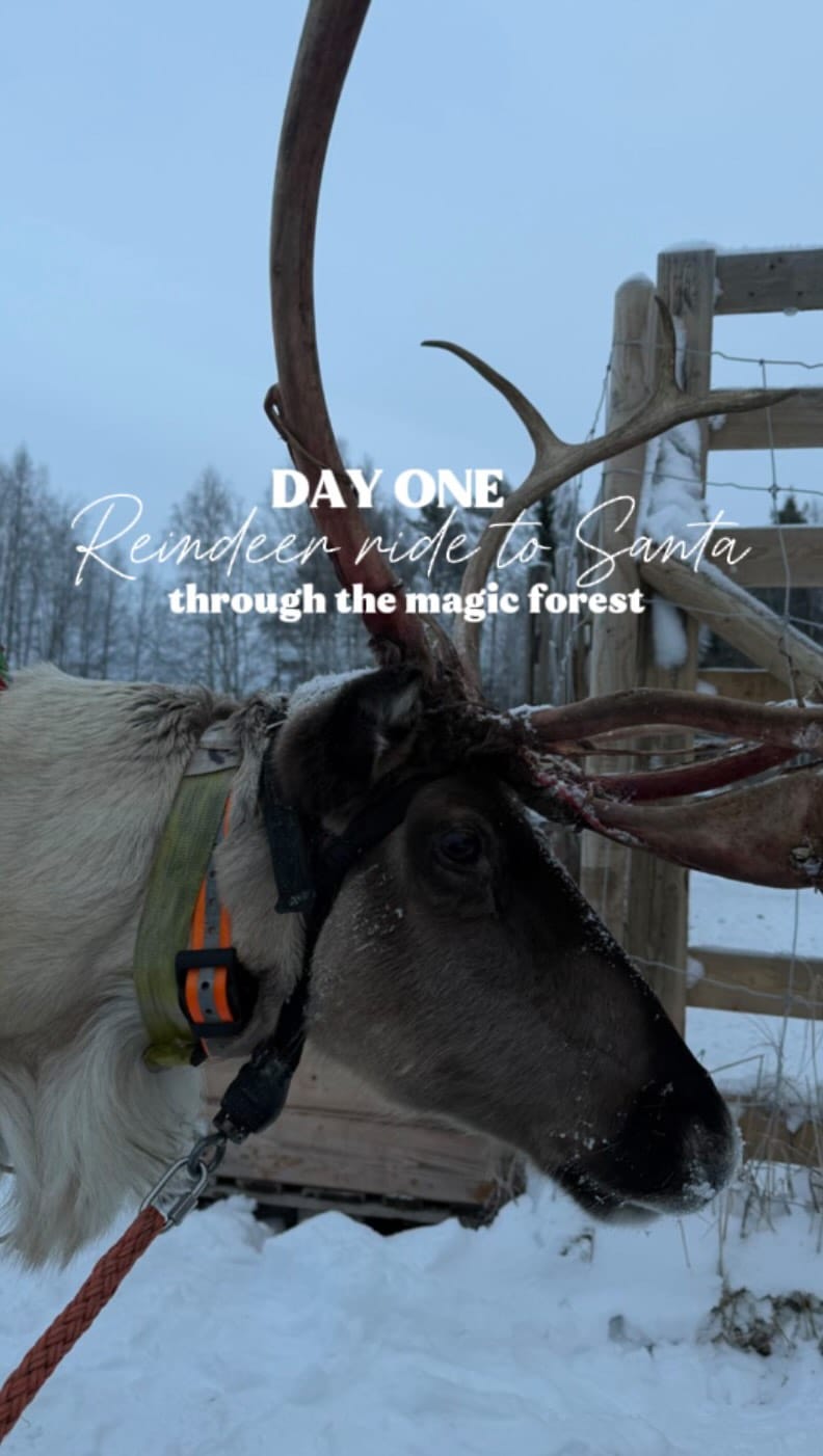 Post 9 by Clare Higson on Instagram (video)