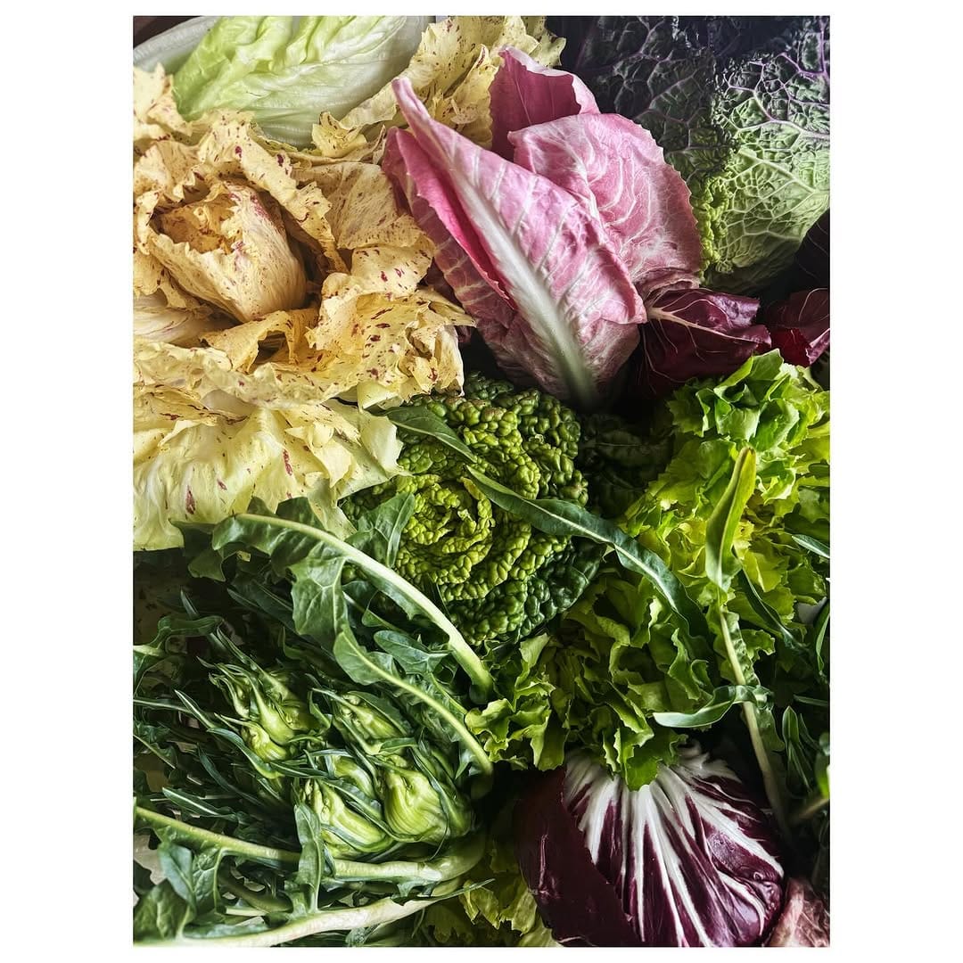 Post 10 by Andrea Gentl at  GENTL AND HYERS on Instagram (image)