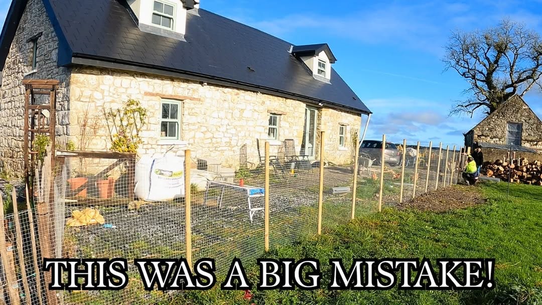 Post 7 by The Irish Homestead on Instagram (image)