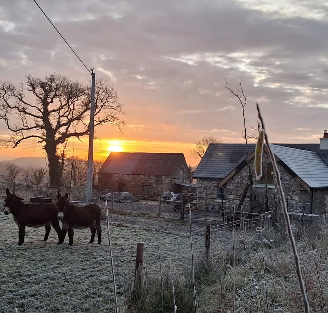 Post 6 by The Irish Homestead on Instagram (image)