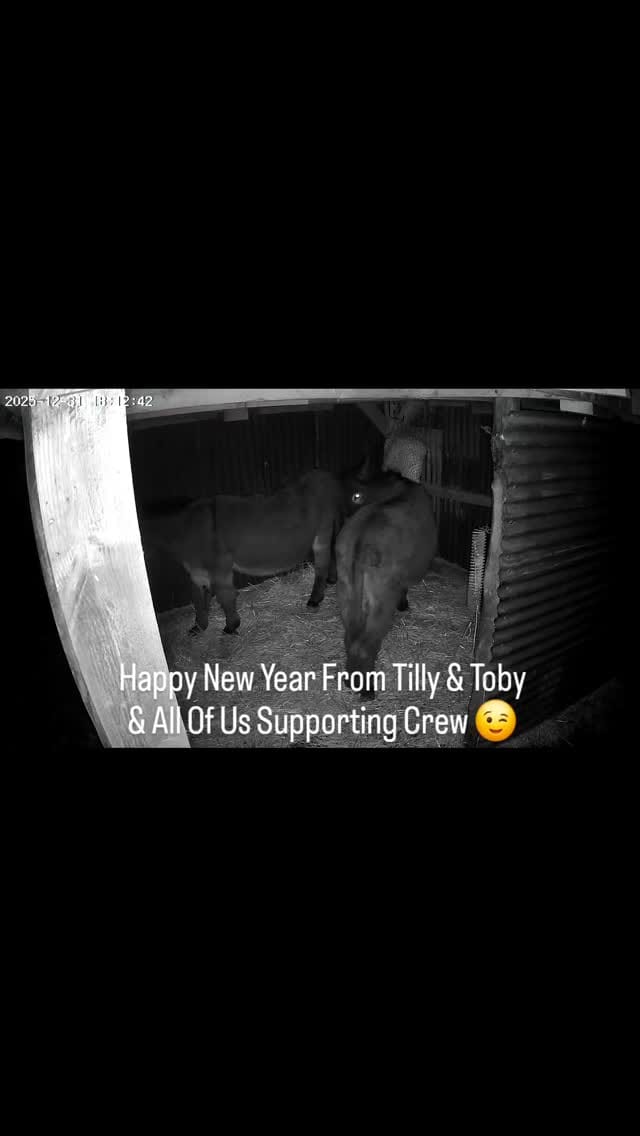 Post 1 by The Irish Homestead on Instagram (video)