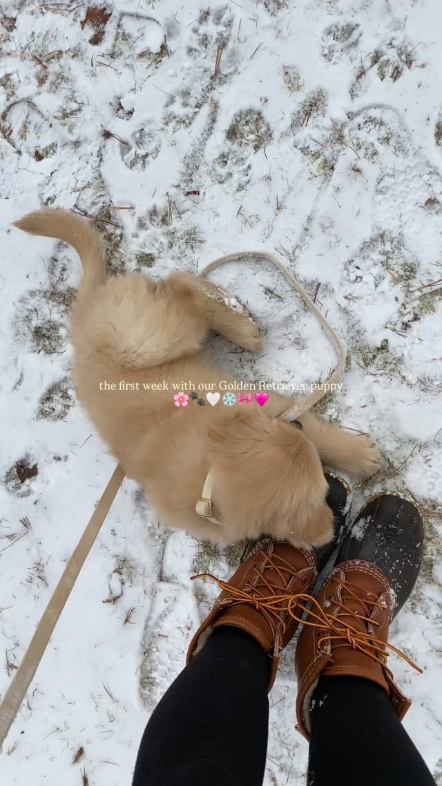 Post 4 by Heather Rinder on Instagram (video)
