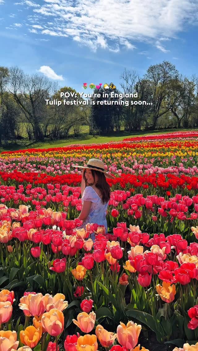 Post 4 by Reiko ☀︎☾ London based | London Tips & Travel on Instagram (video)