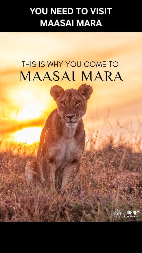 Post 2 by Priya & Dan | Travel Content Creators 🇰🇪🇬🇧 on Instagram (video)