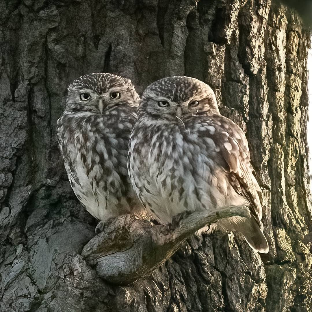 Post 10 by Tanisha ~ Photographer on Instagram (image)