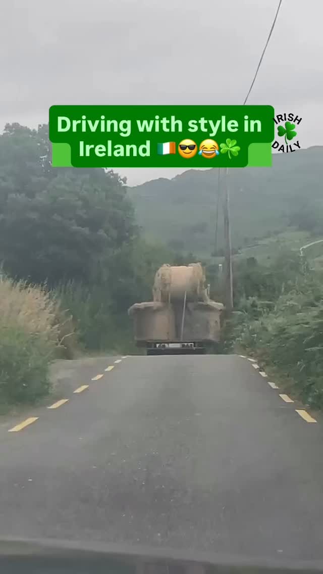 Post 7 by Irish Daily on Instagram (video)
