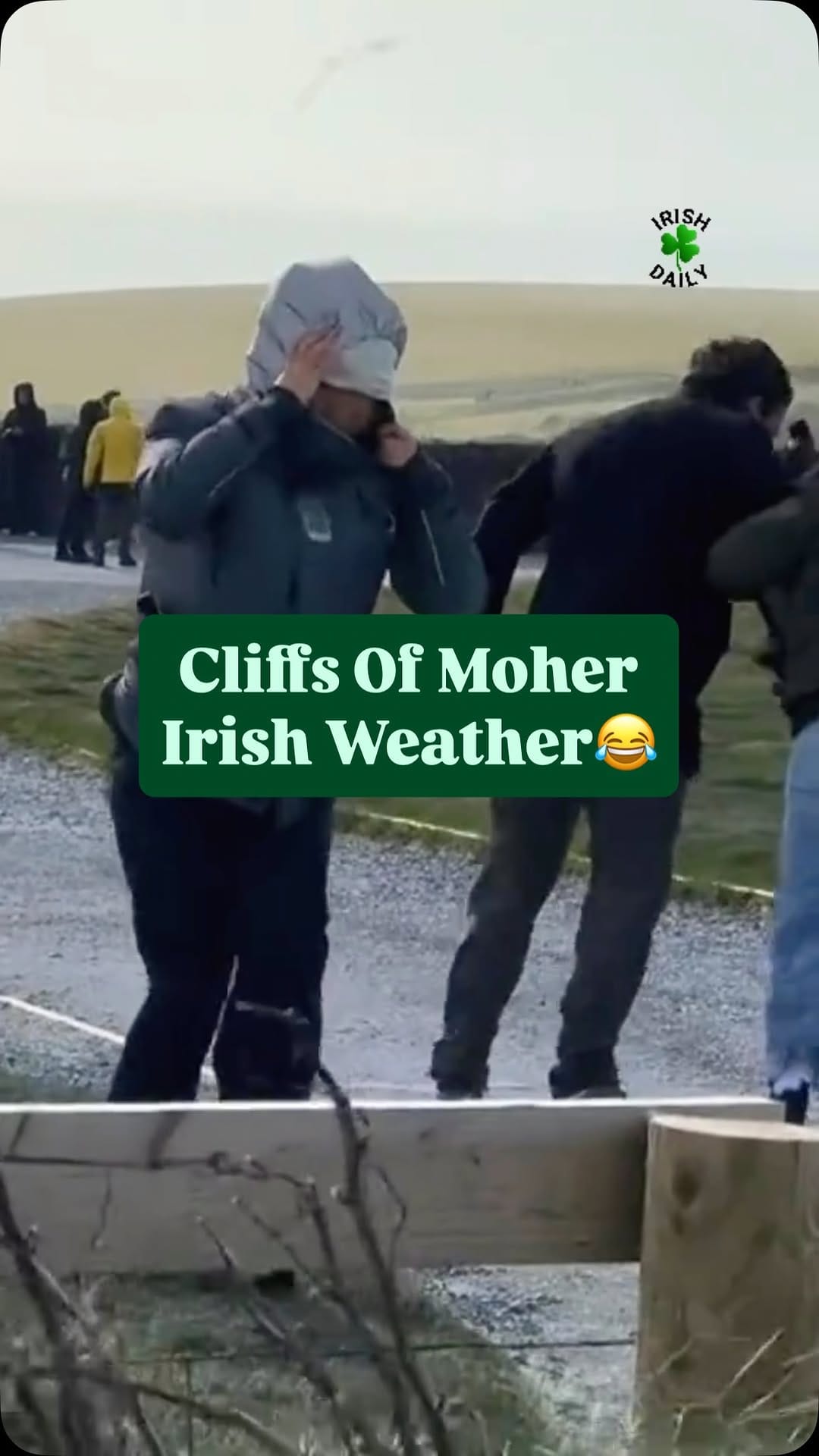 Post 1 by Irish Daily on Instagram (video)