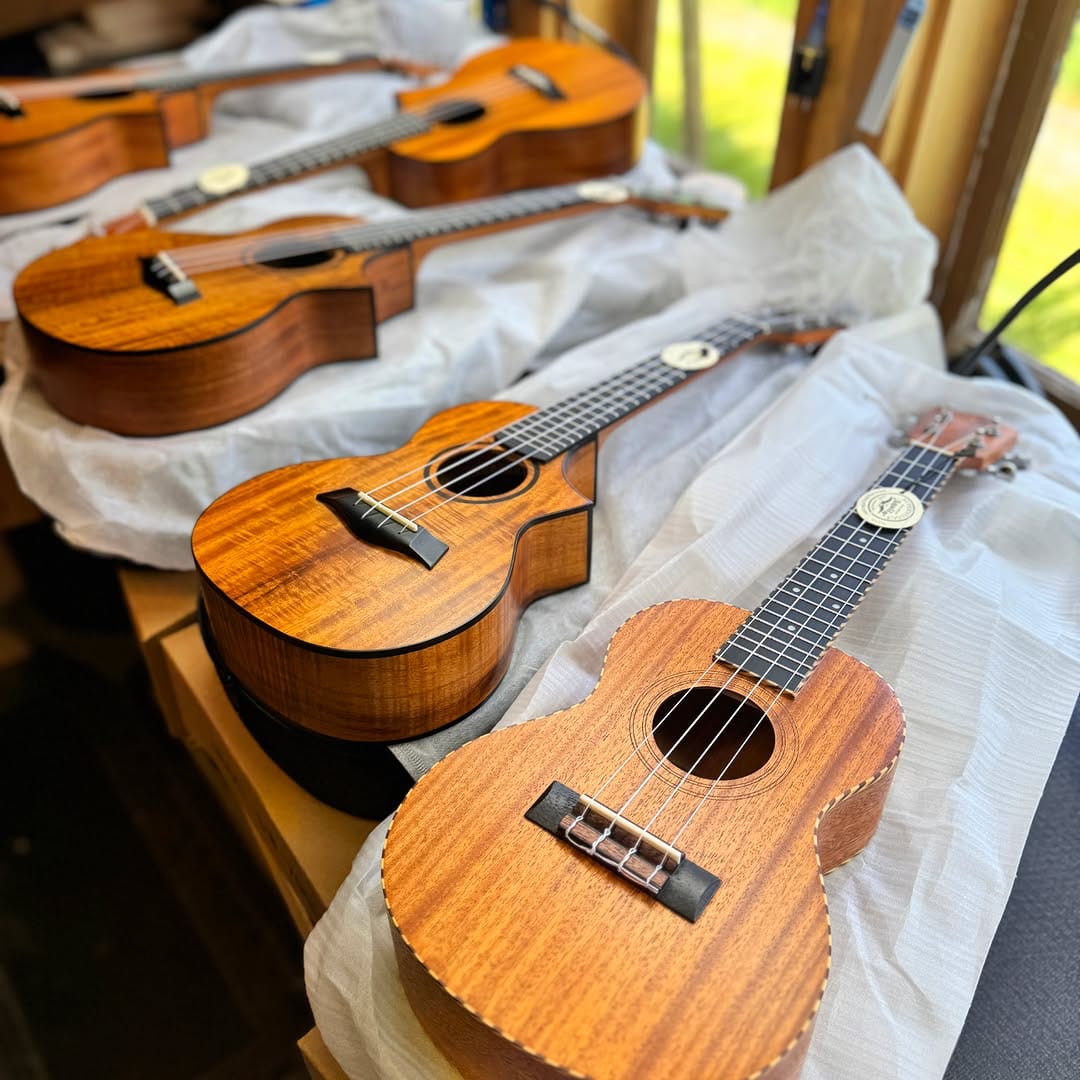 Post 7 by Twisted Wood Guitars on Instagram (carousel)