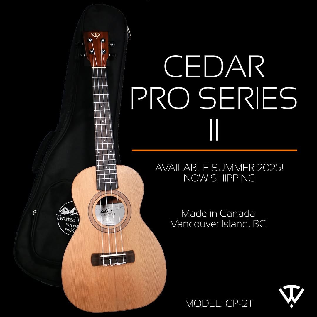 Post 10 by Twisted Wood Guitars on Instagram (carousel)