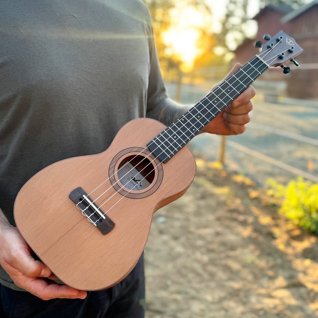 Post 8 by Twisted Wood Guitars on Instagram (carousel)
